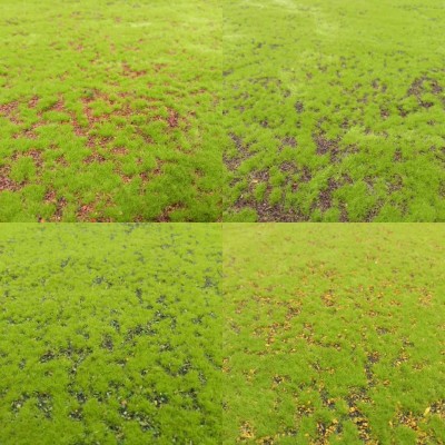 仿真绿植植绒苔藓假苔藓室内造景青苔草皮场景橱窗微景观装饰盆景图3