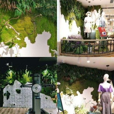 仿真绿植植绒苔藓假苔藓室内造景青苔草皮场景橱窗微景观装饰盆景图4