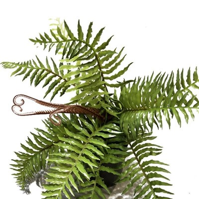 仿真手感蕨类植物波斯草蕨草插地造景装饰小绿植批发 植物墙配材图5