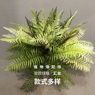 仿真手感蕨类植物波斯草蕨草插地造景装饰小绿植批发 植物墙配材图2