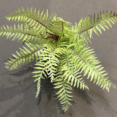 仿真手感蕨类植物波斯草蕨草插地造景装饰小绿植批发 植物墙配材图4