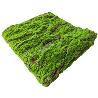 仿真青苔草皮植绒假苔藓草坪 仿真植物墙绿植墙橱窗盆景铺面装饰图5