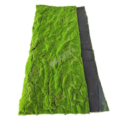 仿真青苔草皮植绒假苔藓草坪 仿真植物墙绿植墙橱窗盆景铺面装饰图3