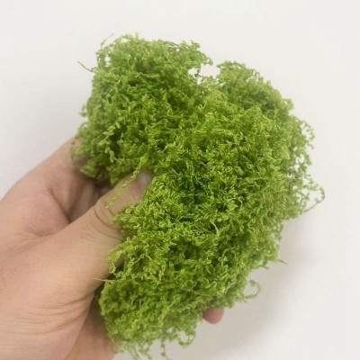 仿真丝状苔藓草坪人造假青苔仿真羊毛藓景观布置草坪盆景盆栽铺面图2