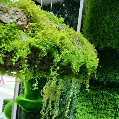 仿真苔藓青苔造景仿生假草皮微景观布置摆件草坪盆栽盆景图4