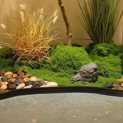 仿真苔藓青苔造景仿生假草皮微景观布置摆件草坪盆栽盆景图3