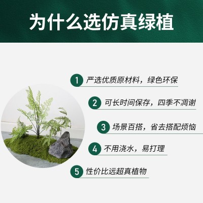 仿真苔藓室内软装微景观套装组合橱窗过道假青苔绿植造景布置装饰图2