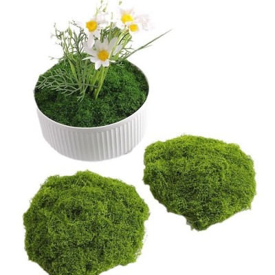 仿真苔藓室内软装微景观套装组合橱窗过道假青苔绿植造景布置装饰图4