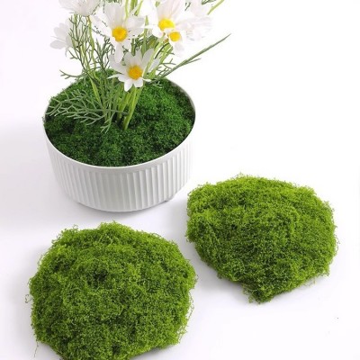 仿真苔藓室内软装微景观套装组合橱窗过道假青苔绿植造景布置装饰