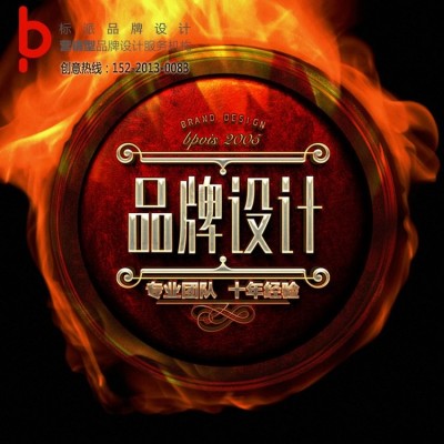 深圳品牌LOGO设计商标企业VI形象标准字体定制--标派视觉图3