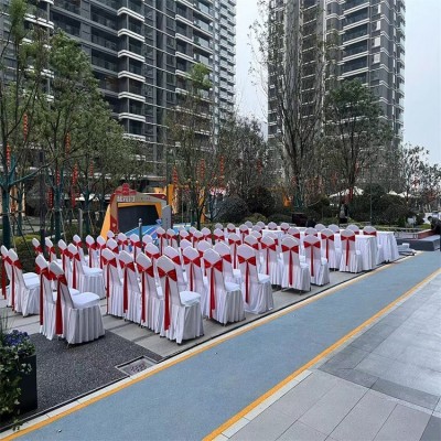 会议专用贵宾椅子出租 华熠大量现货直租 会议展会桌椅租赁图2