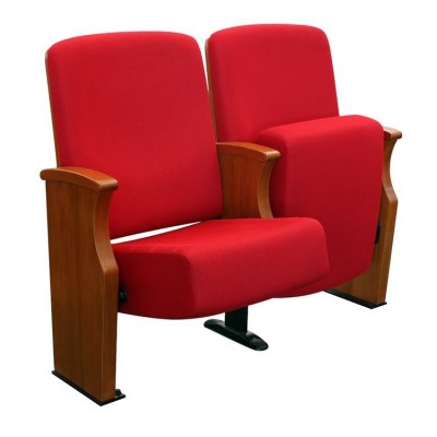 大会堂座椅 报告厅座椅 会议中心座椅 (新奇耐特）服务大型会堂 剧院 音乐厅 重要场馆20年经验图2