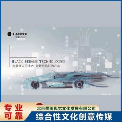 活动海报设计 企业宣传画册策划 高清彩绘 长久耐用图4