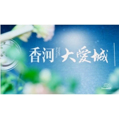 大爱乐享美学品鉴发布会