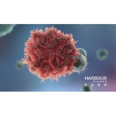 和铂医药品牌VIS全案策划图5