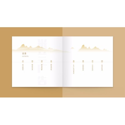 中铁五院徐盐高铁画册设计制作图3