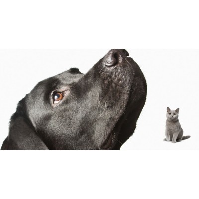 重庆品牌设计,重庆VI设计图3