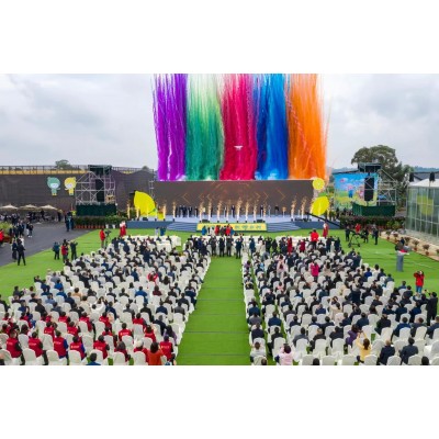 项目案例——文艺演出图2