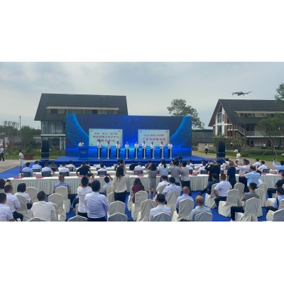 项目案例——礼仪庆典图3