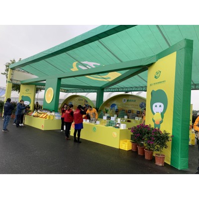 项目案例——会展服务图2