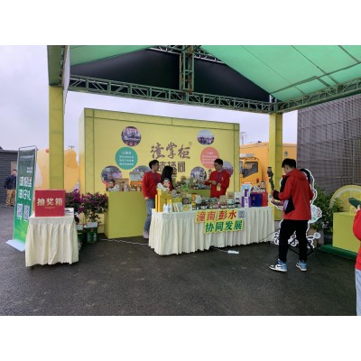 项目案例——会展服务