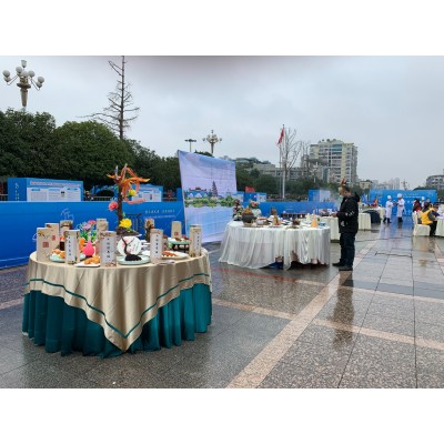 项目案例——移动酒店图2