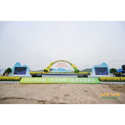 项目案例——崇龛乡村村晚图3