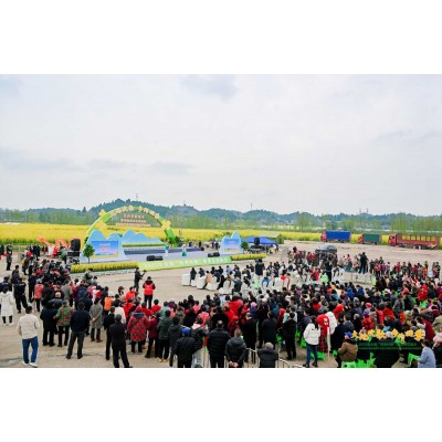 项目案例——崇龛乡村村晚图2