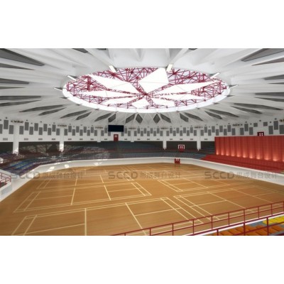 华南理工大学体育馆设计图3