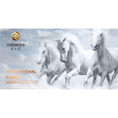 中国国际资本品牌vi设计图4