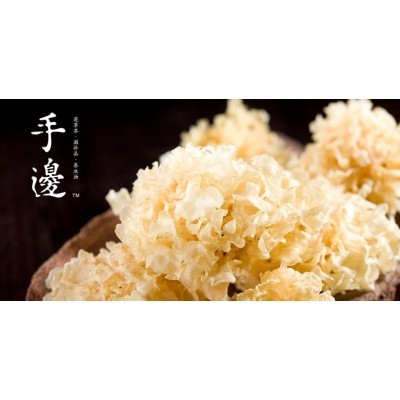 手边养生健康品牌设计图2