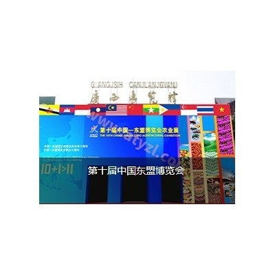 第十届中国东盟博览会图2