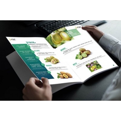 上海宣传册印刷服务,专业9年设计印刷图3