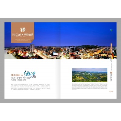 纳溪投资指南（投资指南）图2