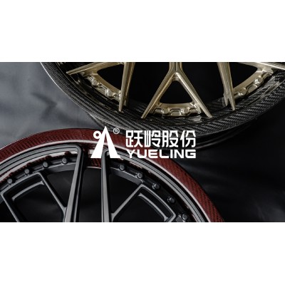 浙江跃岭股份有限公司