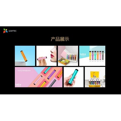 丽福科技-电子燃烧产品品牌策划全案图2