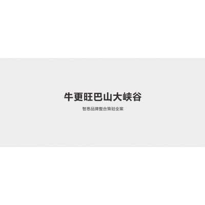 巴山大峡谷牛肉干 - 牛肉干品牌策划全案