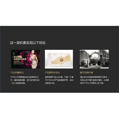 赫诗蘭-美容产品品牌策划方案图2