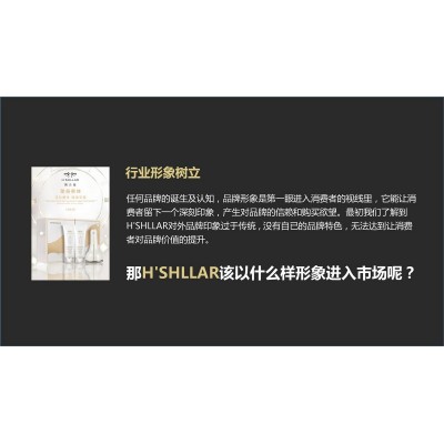 赫诗蘭-美容产品品牌策划方案图3