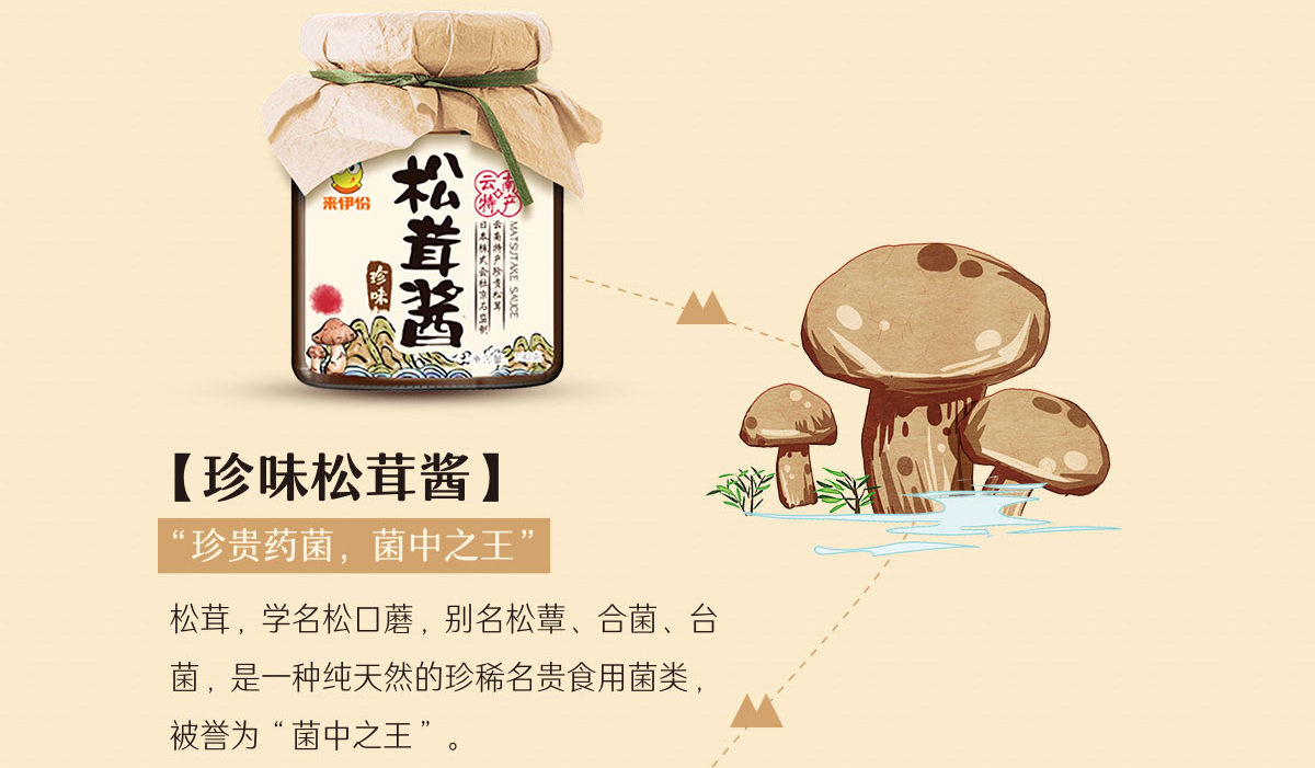 来伊份--包联网（酱料案例）_13.jpg