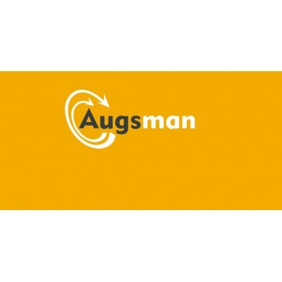 奥吉斯曼标志设计图4