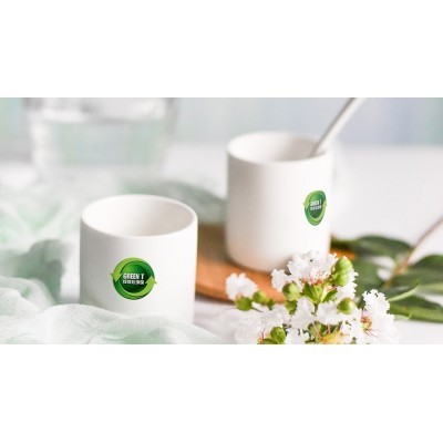 绿背心环保 标志设计图3