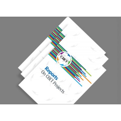 CBET (APEC跨境电商能力建设)图3