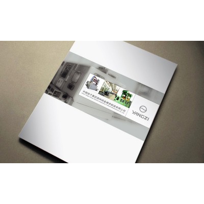 中国扬子集团模具公司