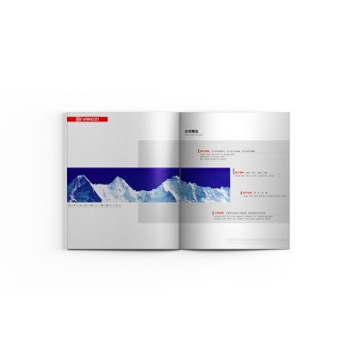 中国扬子集团模具公司图2