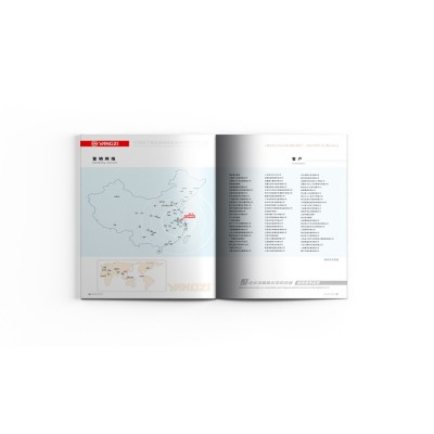 中国扬子集团模具公司图3