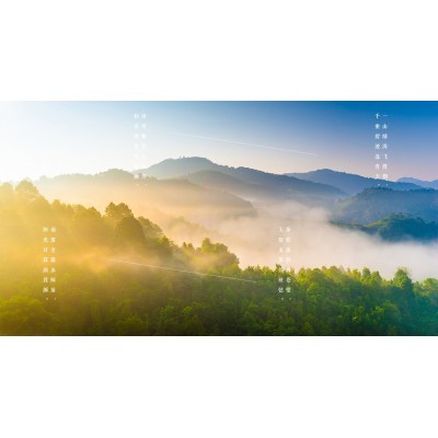 九溪九香一富硒红茶图4