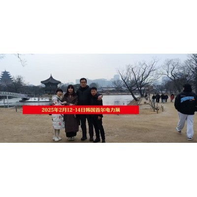 现场回顾 2025年2月12-14日韩国首尔电力展图2