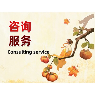 咨询服务