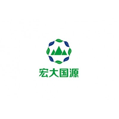 宏大国源